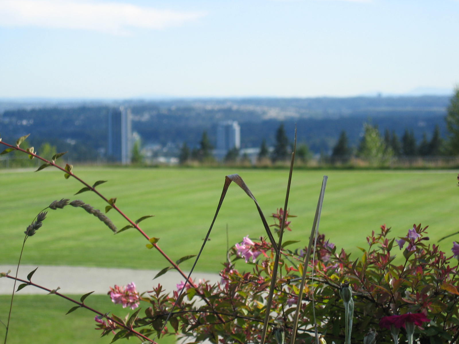 Home Real Estate Homes for sale Coquitlam, BC Coquitlam BC Leah